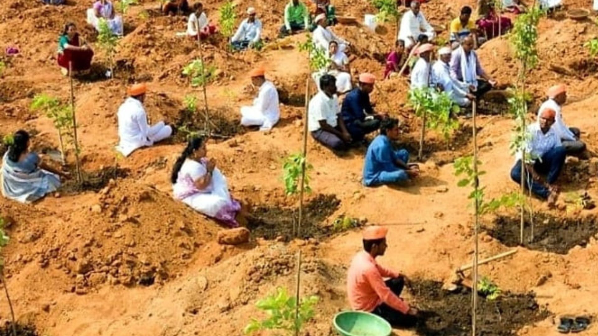 Tree Planting